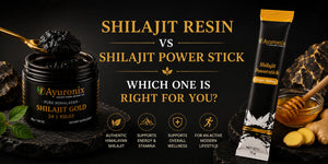Shilajit Resin vs Shilajit Power Stick: Which One Is Right for You?