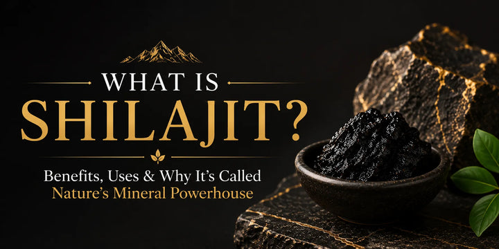 What Is Shilajit? Benefits, Uses & Why It’s Called Nature’s Mineral Powerhouse
